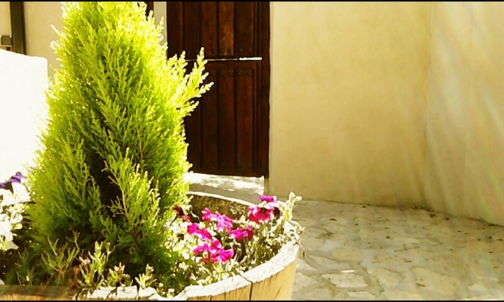 El Jardincillo ξενώνας Robledo de Chavela Εξωτερικό φωτογραφία